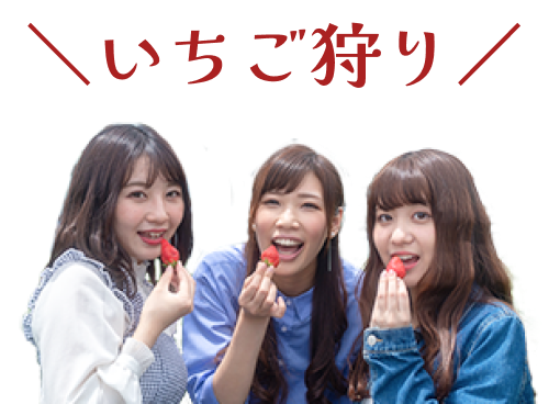 いちごを食べる女の子3人の画像